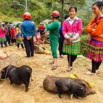 Marchés locaux à inclure dans votre itinéraire de boucle de Ha Giang - guide des meilleurs marchés ethniques locaux de Ha Giang